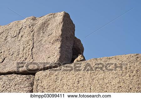 Stock Image - "Stone blocks, Shore Temple of Mahabalipuram, Mamallapuram, Mahabalipuram, Tamil Nadu, India, Asia". Fotosearch