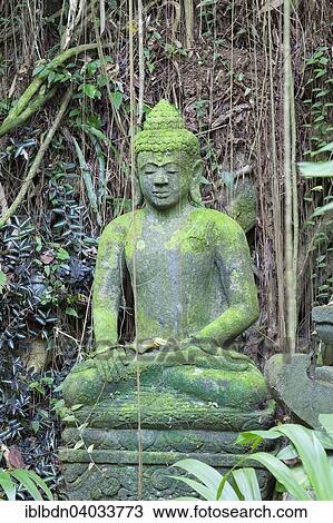 Stone Buddha Statue Botanischer Garten Ubud Bali Indonesien