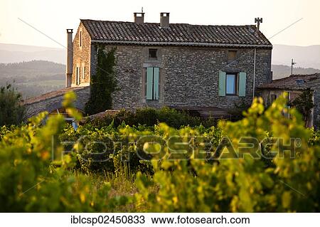 "Stone house in vineyard near Lacoste and Bonnieux, Luberon, Provence, France, Europe" View Large Photo Image Stock Image - "Stone house in vineyard near Lacoste and Bonnieux, Luberon, Provence, France, Europe". Fotosearch