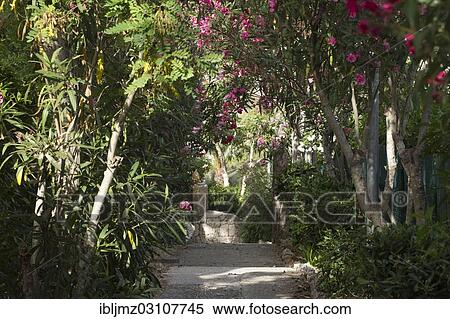 "Stone staircase, Cala Bona, Mallorca, Majorca, Balearic Islands, Spain, Europe" View Large Photo Image Stock Photography - "Stone staircase, Cala Bona, Mallorca, Majorca, Balearic Islands, Spain, Europe". Fotosearch
