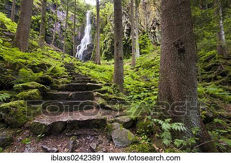 Stone stairs at Burgbach Waterfall near Schapbach, Black Forest, Baden-Wuerttemberg, Germany, Europe View Large Photo Image Stock Image - Stone stairs at Burgbach Waterfall near Schapbach, Black Forest, Baden-Wuerttemberg, Germany, Europe. Fotosearch