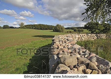 "Stone wall made of rubblestone, Mecklenburg-Vorpommern, Germany, Europe" View Large Photo Image Stock Photo - "Stone wall made of rubblestone, Mecklenburg-Vorpommern, Germany, Europe". Fotosearch