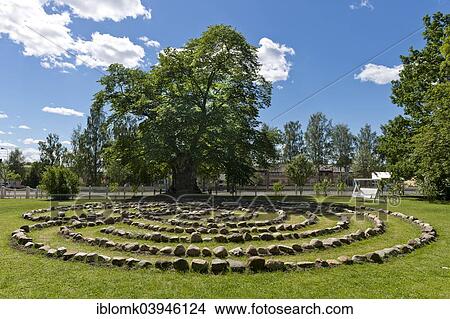 "Stone word labyrinth """"Moten"""" by the artist Magnus Lonn, behind a 200 years old elm tree, model for the lemonade tree of Pippi Longstocking, 2014 opened gardens of the Information and Cultural Centre Astrid Lindgren Nas, Vimmerby, Smaland" View Large Photo Image Picture - "Stone word labyrinth """"Moten"""" by the artist Magnus Lonn, behind a 200 years old elm tree, model for the lemonade tree of Pippi Longstocking, 2014 opened gardens of the Information and Cultural Centre Astrid Lindgren Nas, Vimmerby, Smaland". Fotosearch