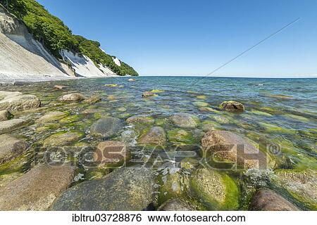 "Stones in the sea, chalk cliffs on the left, Rugen, Mecklenburg-Western Pomerania, Germany, Europe" View Large Photo Image Stock Photograph - "Stones in the sea, chalk cliffs on the left, Rugen, Mecklenburg-Western Pomerania, Germany, Europe". Fotosearch