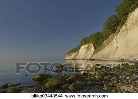 "Stones on the beach, trees growing on the steep coast with chalk cliffs, Jasmund National Park, Dranske, Rugen, Mecklenburg-Western Pomerania, Germany, Europe" View Large Photo Image Picture - "Stones on the beach, trees growing on the steep coast with chalk cliffs, Jasmund National Park, Dranske, Rugen, Mecklenburg-Western Pomerania, Germany, Europe". Fotosearch