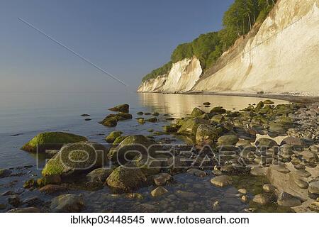 Stock Photography - "Stones on the beach, trees growing on the steep coast with chalk cliffs, Jasmund National Park, Dranske, Rugen, Mecklenburg-Western Pomerania, Germany, Europe". Fotosearch