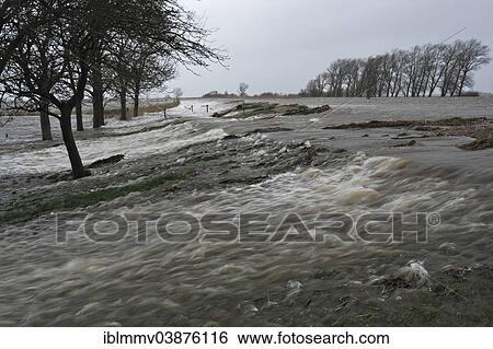"Storm surge on the lower Weser River, water overflowing a dyke, Strohauser Plate, Lower Saxony, Germany, Europe" View Large Photo Image Stock Photograph - "Storm surge on the lower Weser River, water overflowing a dyke, Strohauser Plate, Lower Saxony, Germany, Europe". Fotosearch