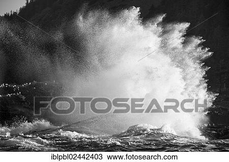 Storm wave along the Gulf of Alaska View Large Photo Image Stock Image - Storm wave along the Gulf of Alaska. Fotosearch