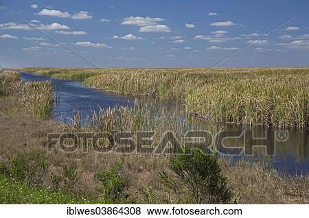 Stock Photo - "Stormwater Treatment Area 3-4, the largest constructed wetland in the world, reduces the amount of phosphorus flowing from agricultural areas into the Everglades, Palm Beach County, Florida, United States, North America". Fotosearch
