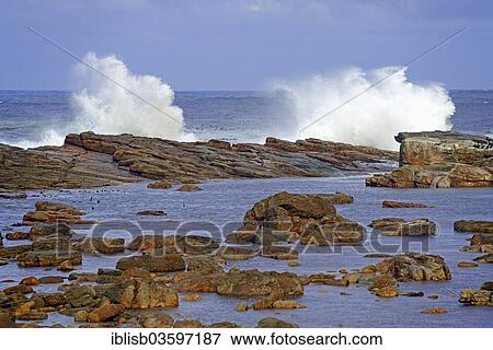 "Stormy sea, stormy atmosphere in the morning, Cape of Good Hope, Western Cape, South Africa, Africa" View Large Photo Image Stock Photo - "Stormy sea, stormy atmosphere in the morning, Cape of Good Hope, Western Cape, South Africa, Africa". Fotosearch