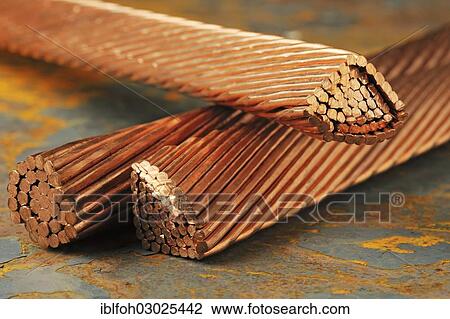 "Strands of Millberry Copper, Dortmund, Ruhr district, North Rhine-Westphalia, Germany, Europe" View Large Photo Image Stock Image - "Strands of Millberry Copper, Dortmund, Ruhr district, North Rhine-Westphalia, Germany, Europe". Fotosearch