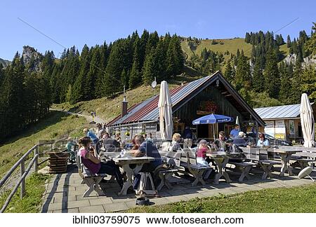 "Strasser Alm alpine pasture on Brauneck Mountain, Isarwinkel, Lenggries, Upper Bavaria, Bavaria, Germany, Europe" View Large Photo Image Stock Photography - "Strasser Alm alpine pasture on Brauneck Mountain, Isarwinkel, Lenggries, Upper Bavaria, Bavaria, Germany, Europe". Fotosearch