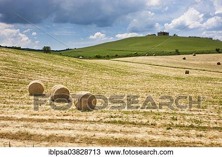 Stock Image - "Straw bales in the fields of Crete Senesi, Tuscany, Italy, Europe". Fotosearch