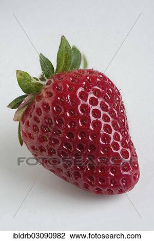 Stock Image - Strawberry. Fotosearch
