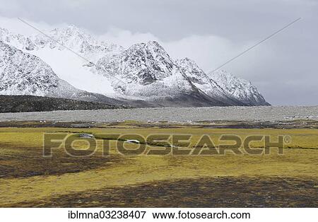 Stock Photo - "Stream in a moss-covered meadow, Magdalenefjorden, Spitsbergen, Spitsbergen Island, Svalbard Archipelago, Svalbard and Jan Mayen, Norway, Europe". Fotosearch