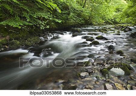 Stock Photo - "Stream in the forest, Lake District, England, United Kingdom, Europe". Fotosearch