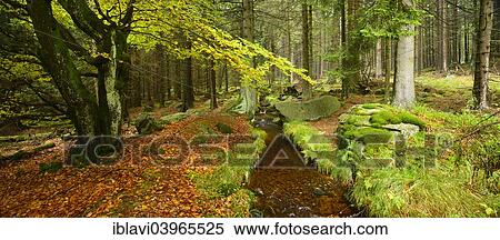 "Stream in the Harz National Park, Saxony-Anhalt, Germany, Europe" View Large Photo Image Stock Photography - "Stream in the Harz National Park, Saxony-Anhalt, Germany, Europe". Fotosearch