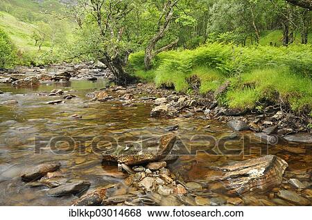 "Stream in the Highlands, Scotland, United Kingdom, Europe" View Large Photo Image Stock Photo - "Stream in the Highlands, Scotland, United Kingdom, Europe". Fotosearch