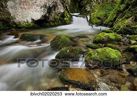 "Stream in Tierra del Fuego, Argentina, South America" View Large Photo Image Stock Image - "Stream in Tierra del Fuego, Argentina, South America". Fotosearch