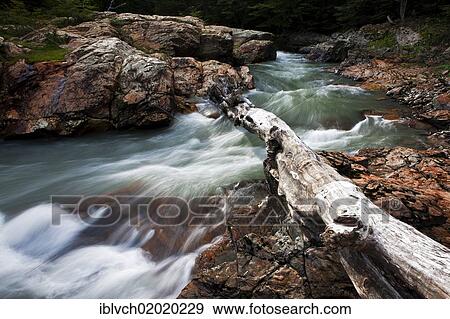 "Stream in Tierra del Fuego, Argentina, South America" View Large Photo Image Stock Photo - "Stream in Tierra del Fuego, Argentina, South America". Fotosearch
