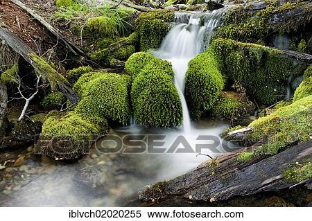 "Stream in Tierra del Fuego, Argentina, South America" View Large Photo Image Stock Photography - "Stream in Tierra del Fuego, Argentina, South America". Fotosearch