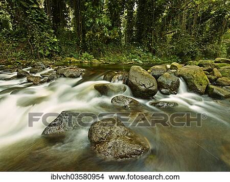 "Stream in Waipi'o Valley, Kukuihaele, Big Island, Hawaii, United States, North America" View Large Photo Image Picture - "Stream in Waipi'o Valley, Kukuihaele, Big Island, Hawaii, United States, North America". Fotosearch