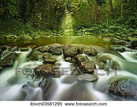 "Stream in Waipi'o Valley, Kukuihaele, Big Island, Hawaii, United States, North America" View Large Photo Image Stock Photography - "Stream in Waipi'o Valley, Kukuihaele, Big Island, Hawaii, United States, North America". Fotosearch