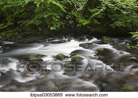 "Stream, Lake District, England, United Kingdom, Europe" View Large Photo Image Stock Photo - "Stream, Lake District, England, United Kingdom, Europe". Fotosearch