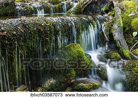 "Stream, moss, Los Glaciares National Park, El Chalten, Santa Cruz, Argentina, South America" View Large Photo Image Stock Image - "Stream, moss, Los Glaciares National Park, El Chalten, Santa Cruz, Argentina, South America". Fotosearch