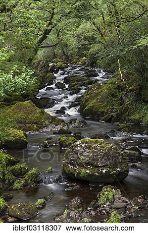 "Stream, near Glengarriff, County Cork, Ireland, Europe" View Large Photo Image Stock Photo - "Stream, near Glengarriff, County Cork, Ireland, Europe". Fotosearch
