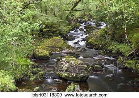 "Stream, near Glengarriff, County Cork, Ireland, Europe" View Large Photo Image Stock Photo - "Stream, near Glengarriff, County Cork, Ireland, Europe". Fotosearch