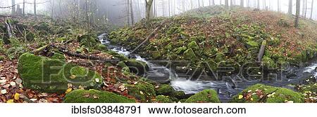 "Stream with moss-covered basalt stones, Hoher Westerwald, Hesse, Germany, Europe" View Large Photo Image Stock Image - "Stream with moss-covered basalt stones, Hoher Westerwald, Hesse, Germany, Europe". Fotosearch