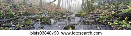 "Stream with moss-covered basalt stones and fallen tree trunks, Hoher Westerwald, Hesse, Germany, Europe" View Large Photo Image Stock Image - "Stream with moss-covered basalt stones and fallen tree trunks, Hoher Westerwald, Hesse, Germany, Europe". Fotosearch