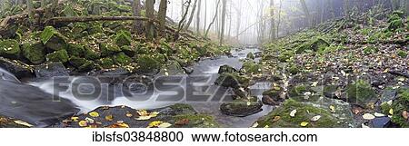 "Stream with moss-covered basalt stones and fallen tree trunks, Hoher Westerwald, Hesse, Germany, Europe" View Large Photo Image Stock Image - "Stream with moss-covered basalt stones and fallen tree trunks, Hoher Westerwald, Hesse, Germany, Europe". Fotosearch