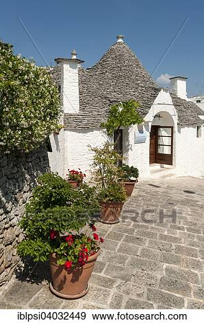 "Street decorated with flowers, in front of a Trullo house, Trulli District, Alberobello, Apulia, Italy, Europe" View Large Photo Image Stock Photo - "Street decorated with flowers, in front of a Trullo house, Trulli District, Alberobello, Apulia, Italy, Europe". Fotosearch