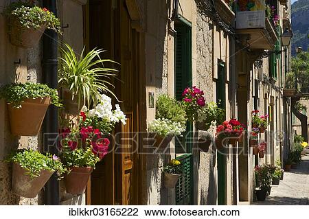 "Street decorated with flowers, Valldemossa, Majorca, Balearic Islands, Spain, Europe" View Large Photo Image Stock Image - "Street decorated with flowers, Valldemossa, Majorca, Balearic Islands, Spain, Europe". Fotosearch