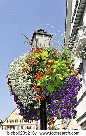 Stock Photo - "Street lamp with a floral decoration, hanging basket, old town, old town lane, Tuebingen, Swabian Alb, Baden-Wuerttemberg, Germany, Europe". Fotosearch
