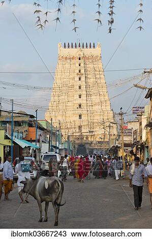 "Street scene with pilgrims in front of the Gopuram or gateway tower, Ramanathaswami Temple, Rameswaram, Pamban Island, Tamil Nadu, India, Asia" View Large Photo Image Stock Image - "Street scene with pilgrims in front of the Gopuram or gateway tower, Ramanathaswami Temple, Rameswaram, Pamban Island, Tamil Nadu, India, Asia". Fotosearch