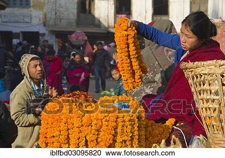 Stock Image - "Street vendor selling flower garlands at Durbar Square, Kathmandu Valley, Kathmandu, Kathmandu District, Bagmati Zone, Nepal, Asia". Fotosearch