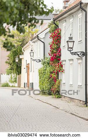 "Street with old residential houses and flowers, Vadstena, Ostergotland County, Sweden, Europe" View Large Photo Image Picture - "Street with old residential houses and flowers, Vadstena, Ostergotland County, Sweden, Europe". Fotosearch