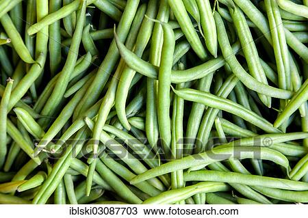 "String beans, Hamburg, Hamburg, Germany, Europe" View Large Photo Image Stock Image - "String beans, Hamburg, Hamburg, Germany, Europe". Fotosearch