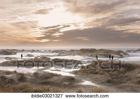 "Strong westerly winds driving water from the North Sea into the dunes, North Frisia, Kniepsand bei Nebel, Amrum, Schleswig-Holstein, Germany, Europe" View Large Photo Image Stock Photo - "Strong westerly winds driving water from the North Sea into the dunes, North Frisia, Kniepsand bei Nebel, Amrum, Schleswig-Holstein, Germany, Europe". Fotosearch