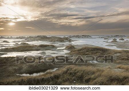"Strong westerly winds driving water from the North Sea into the dunes, North Frisia, Kniepsand bei Nebel, Amrum, Schleswig-Holstein, Germany, Europe" View Large Photo Image Stock Photo - "Strong westerly winds driving water from the North Sea into the dunes, North Frisia, Kniepsand bei Nebel, Amrum, Schleswig-Holstein, Germany, Europe". Fotosearch