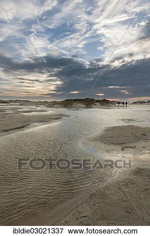 "Strong westerly winds driving water from the North Sea into the dunes, North Frisia, Kniepsand bei Nebel, Amrum, Schleswig-Holstein, Germany, Europe" View Large Photo Image Stock Photo - "Strong westerly winds driving water from the North Sea into the dunes, North Frisia, Kniepsand bei Nebel, Amrum, Schleswig-Holstein, Germany, Europe". Fotosearch