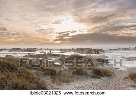 "Strong westerly winds driving water from the North Sea into the dunes, North Frisia, Kniepsand bei Nebel, Amrum, Schleswig-Holstein, Germany, Europe" View Large Photo Image Stock Photograph - "Strong westerly winds driving water from the North Sea into the dunes, North Frisia, Kniepsand bei Nebel, Amrum, Schleswig-Holstein, Germany, Europe". Fotosearch