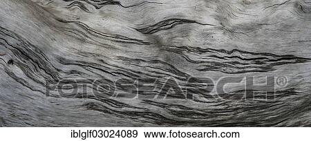 "Structure of driftwood, close-up, Egling, Bavaria, Germany, Europe" View Large Photo Image Stock Photo - "Structure of driftwood, close-up, Egling, Bavaria, Germany, Europe". Fotosearch