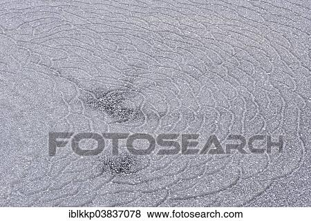 "Structures in the ice of a frozen lake, Treseburg, Saxony-Anhalt, Germany, Europe" View Large Photo Image Stock Photo - "Structures in the ice of a frozen lake, Treseburg, Saxony-Anhalt, Germany, Europe". Fotosearch