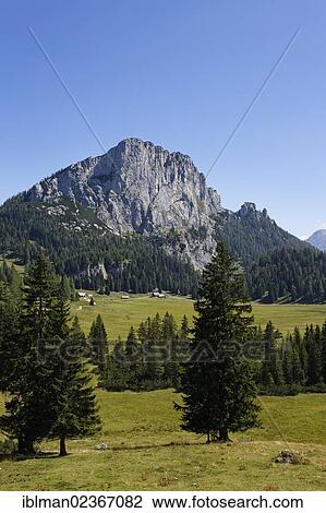 "Stubwieswipfel mountain, Wurzeralm alp, Spital am Pyhrn, Pyhrn-Priel, Traunviertel region, Upper Austria, Austria, Europe" View Large Photo Image Stock Image - "Stubwieswipfel mountain, Wurzeralm alp, Spital am Pyhrn, Pyhrn-Priel, Traunviertel region, Upper Austria, Austria, Europe". Fotosearch