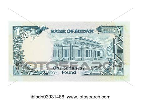 Sudanese one pound banknote View Large Photo Image Stock Photograph - Sudanese one pound banknote. Fotosearch