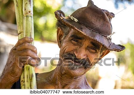 "Sugar cane farmer holding sugar canes, sugar cane plantation, Valle de los Ingenios, Trinidad, Sancti Spiritus Province, Cuba, North America" View Large Photo Image Stock Photo - "Sugar cane farmer holding sugar canes, sugar cane plantation, Valle de los Ingenios, Trinidad, Sancti Spiritus Province, Cuba, North America". Fotosearch